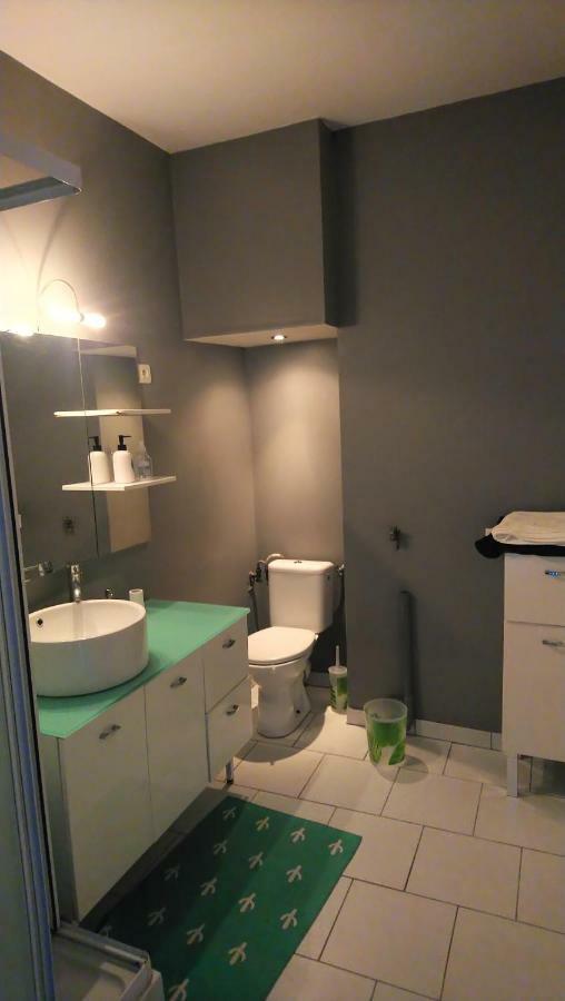 Quai De Versailles Apartment